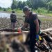 Sesosok Mayat Tanpa Identitas Ditemukan di Jayapura
