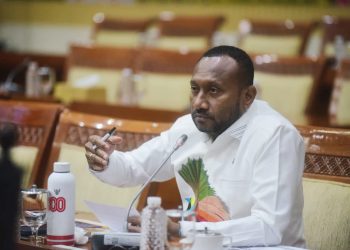Yan Mandenas Desak Penertiban Tambang Ilegal di Papua
