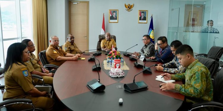 Kemendagri Tugaskan Tim Khusus Selidiki Kematian Ibu Hamil di Papua