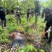 Pekerja Bangunan Tewas di Area Kebun di Yahukimo, Diduga Jadi Korban Pembunuhan