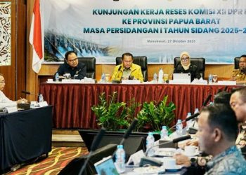 PLN UIP MPA Pacu Proyek Strategis Listrik Papua Barat