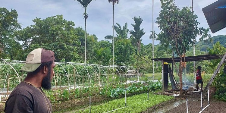 Electrifying Agriculture, Cara PLN UIP MPA Dorong Modernisasi Pertanian