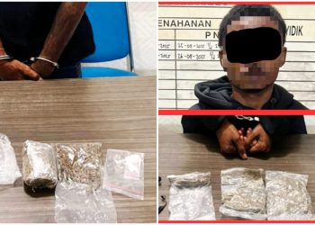 Polisi Kembali Gagalkan Peredaran Ganja di Pelabuhan Jayapura
