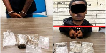 Polisi Kembali Gagalkan Peredaran Ganja di Pelabuhan Jayapura