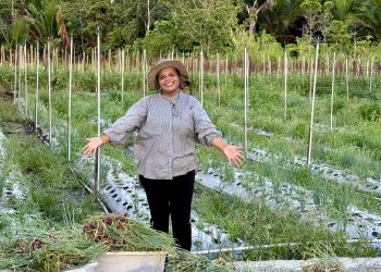 Program Desa Berdaya PLN UIP MPA Berbuah di Taman Inspirasi Waibu