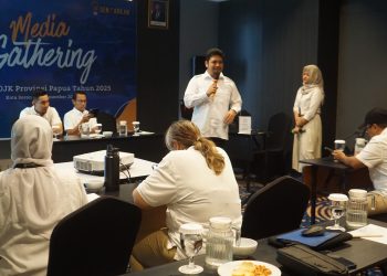 Kinerja IKNB di Papua Tumbuh Positif, Pembiayaan Alat Berat Dorong Kenaikan