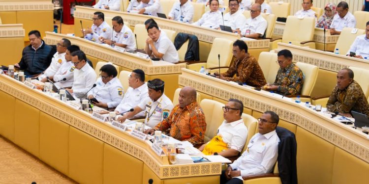 Di Raker DPR RI, Gubernur Papua Dorong Transformasi Kawasan Perbatasan