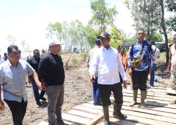 Pemerintah Papua Selatan Lakukan Ini Pasca Jalan Penghubung Antarkampung Putus