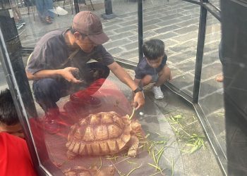 Animal Adventure Meriahkan Akhir Pekan di Horison Kotaraja
