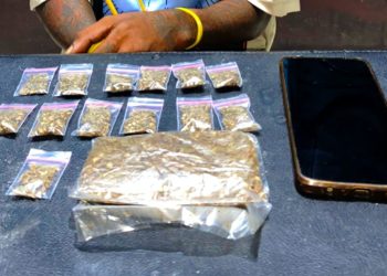 Polisi Tangkap Residivis Curas yang Juga DPO Laka Lantas di Jayapura