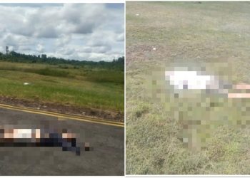 Dua Pilot Smart Air Tewas Usai Ditembak OTK di Boven Digoel