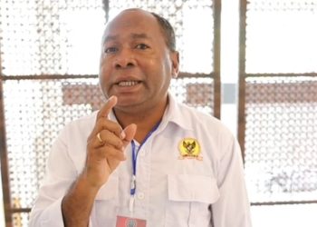 Komnas HAM Papua Dorong Transparansi Operasi Cartenz 2026