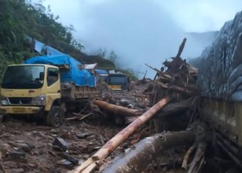 Trans – Papua Lumpuh Akibat Longsor, Pengendara Diminta Tidak Melintas
