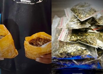 ‎Kronologi Penangkapan Dua Terduga Pelaku Narkotika di Jayapura