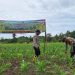 Polsek Muara Tami Intens Monitoring Lahan Ketahanan Pangan ‎