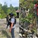 Satgas Operasi Damai Cartenz Amankan Senjata Api Rakitan di Yahukimo