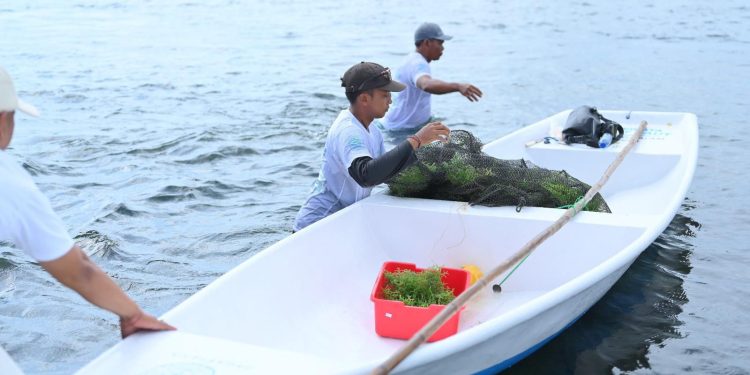 PLN Salurkan TJSL ke 701 Ribu Penerima Sepanjang 2025