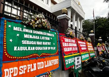 Sidang RUPTL Ungkap Dominasi IPP dan Lemahnya Penguatan Peran PLN