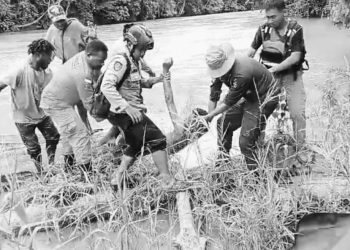 Satu WNA Tewas Diterkam Buaya di Sungai Tami Jayapura