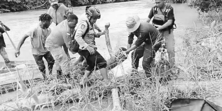 Satu WNA Tewas Diterkam Buaya di Sungai Tami Jayapura