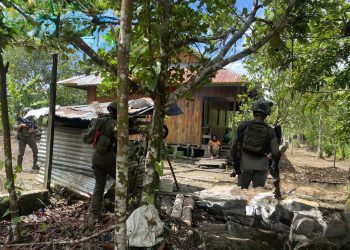 Anggota KKB Meno Heluka Diamankan, Ini Kejahatan yang Dilakukan