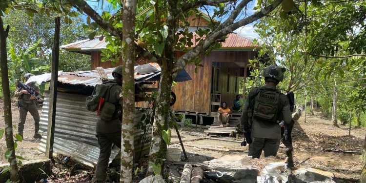 Anggota KKB Meno Heluka Diamankan, Ini Kejahatan yang Dilakukan