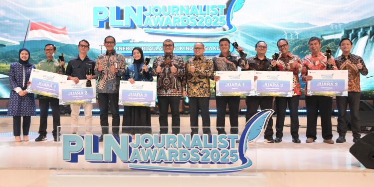 Jurnalis Papua Raih Juara Satu PLN Journalist Award Kategori Video Hard News