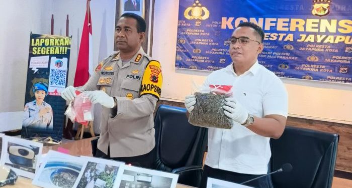 Polisi Gagalkan Peredaran Ganja di Perbatasan RI-PNG