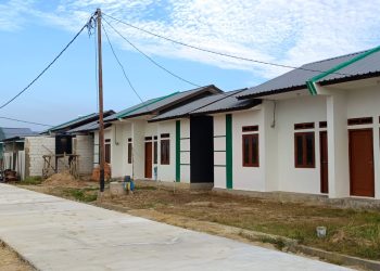 REI Papua Selatan Optimis Permintaan Rumah Subsidi Tumbuh Seiring PSN