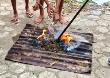 Polisi Musnahkan Barang Bukti Narkotika Hasil Operasi di Jayapura