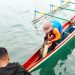 Nelayan Kedapatan Bawa Penyu Hijau
