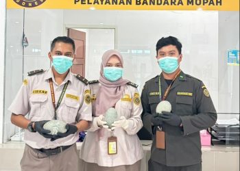 Upaya Selundupkan Telur Kasuari Berhasil Digagalkan