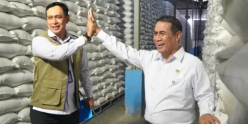 Perum Bulog Catat Sejarah, Stok Beras Nasional Tembus 5 Juta Ton