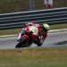 Astra Honda Siap Dominasi Seri Pembuka ARRC 2026 di Sepang