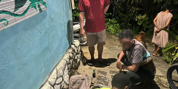 Dua Pemuda Ditangkap di Jayapura, Polisi Amankan Ratusan Gram Ganja