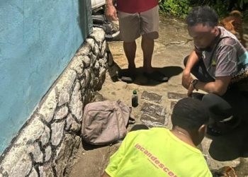 Dua Pemuda Ditangkap di Jayapura, Polisi Amankan Ratusan Gram Ganja