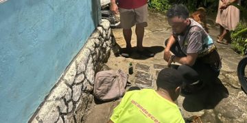 Dua Pemuda Ditangkap di Jayapura, Polisi Amankan Ratusan Gram Ganja