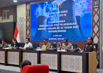 PLN Paparkan Peta Jalan Kelistrikan Papua Barat hingga 2030
