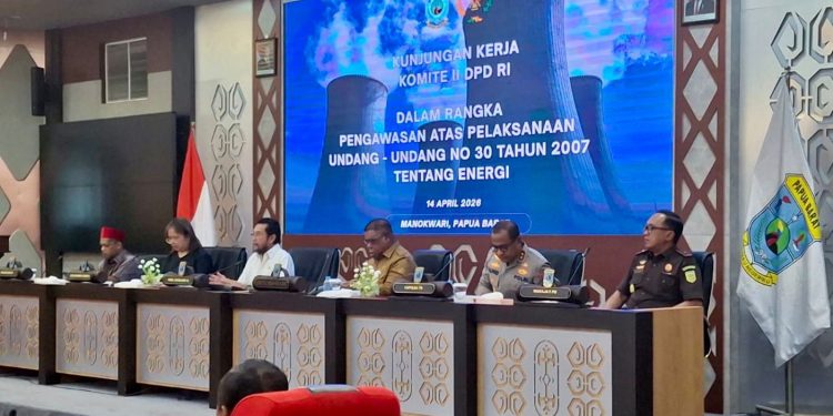 PLN Paparkan Peta Jalan Kelistrikan Papua Barat hingga 2030
