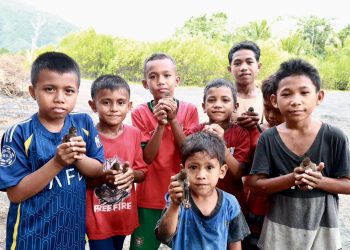 Kolaborasi Warga dan PLN UIP MPA Selamatkan Burung Mamoa