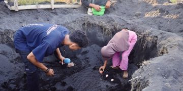 Hari Bumi 2026, PLN Hidupkan Konservasi Burung Mamoa di Halmahera Utara