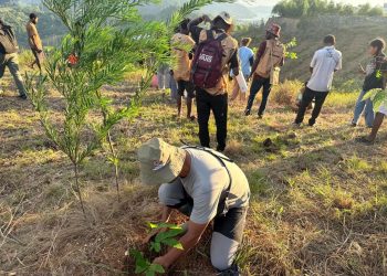 Astra Motor Papua Tanam Ribuan Pohon di Bukit Khambu