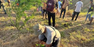 Astra Motor Papua Tanam Ribuan Pohon di Bukit Khambu