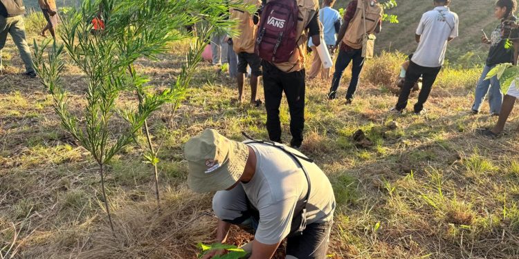 Astra Motor Papua Tanam Ribuan Pohon di Bukit Khambu