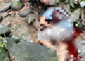 Fakta-fakta Pembunuhan Pendulang Emas di Pegunungan Bintang, 10 Orang Tewas
