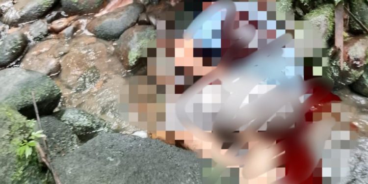 Fakta-fakta Pembunuhan Pendulang Emas di Pegunungan Bintang, 10 Orang Tewas