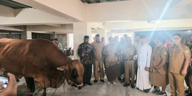 Masjid Raya Baiturrahim Jayapura Terima Bantuan Sapi Kurban Presiden