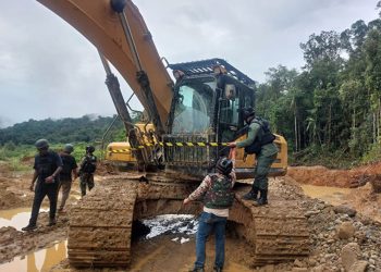 Tujuh WNA China Diduga Terlibat Tambang Emas Ilegal di Hutan Nabire