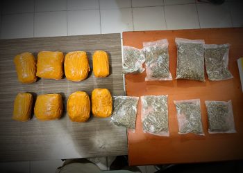 Polisi Gagalkan Peredaran Ganja 1,5 Kilogram di Jayapura