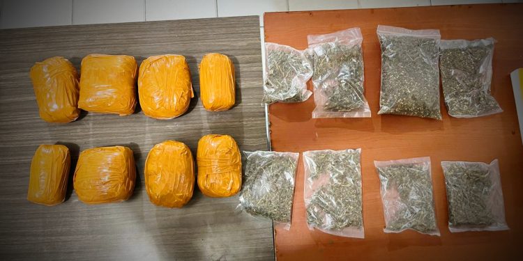 Polisi Gagalkan Peredaran Ganja 1,5 Kilogram di Jayapura